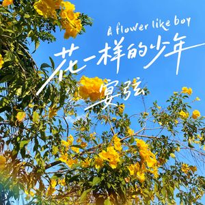 花一样的少年