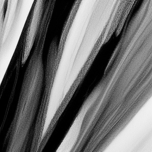 SHINUNOGA E WA (Cover)