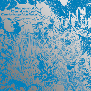 Papernut Cambridge