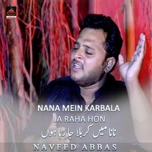 Das Ghazi Shaam Jawan Kive Baaj Ridawa