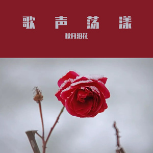 满天星辰不及你