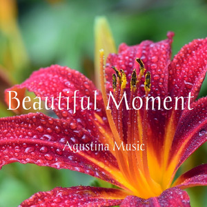 Beautiful Moment (Acoustic)