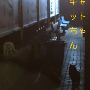 不知道为什么会有这样一首歌