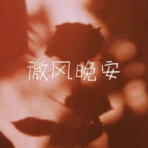 微风晚安