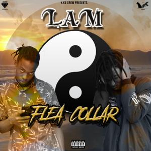 Flea Collar(diss track)