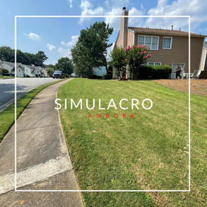 Simulacro