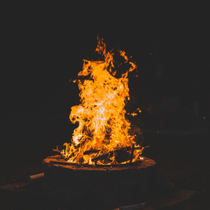 Neon Wildfires