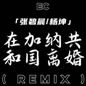 在加纳共和国离婚 (Remix)