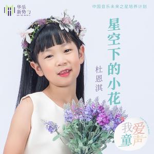 星空下的小花 (伴奏)
