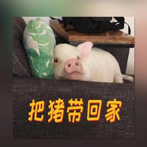 把猪带回家