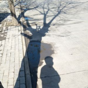 初中独特的青春