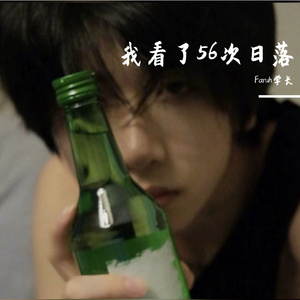 我看了56次日落