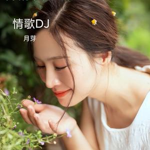 梦里水乡DJ