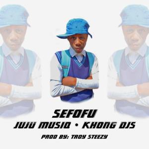 sefofu (feat. troysteezyrsa)
