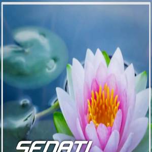 Pargoy Sedati