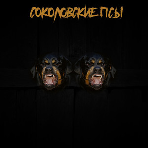 Тридцатый зашквар Васяна