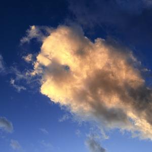 看着我眼睛（cover.吴琳珂）.wav