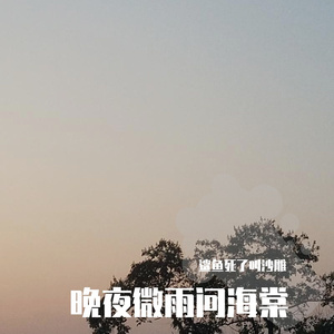 晚夜微雨问海棠（翻自 镜予歌）
