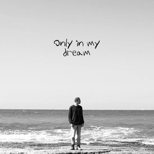 Only in My Dream (Remix)
