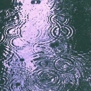 Dewy Sakuras (432Hz Version)