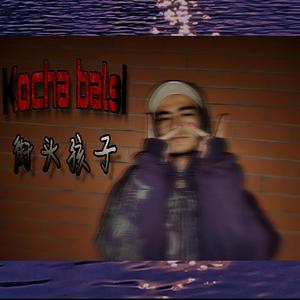 Kocha balsi（2017版）