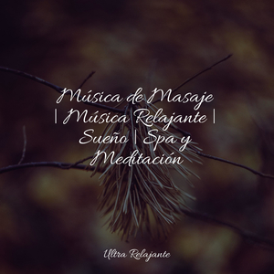 Pulso Espiritual