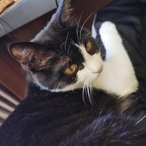 都市沙漠（翻自 刘凤瑶）