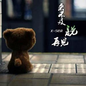 来不及说再见（翻自 艾辰）