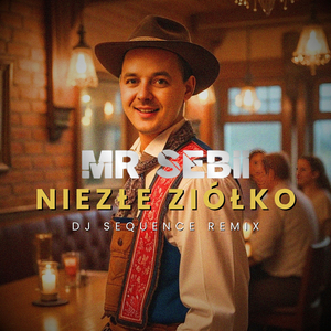 Niezłe Ziółko (DJ Sequence Remix)
