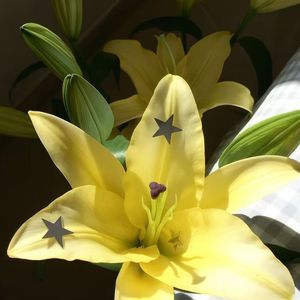 一首简单又复杂的歌