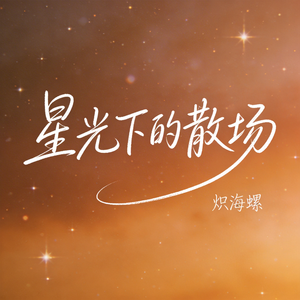 星光下的散场
