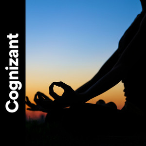 Yoga Class Centering Background Music, Pt. 9