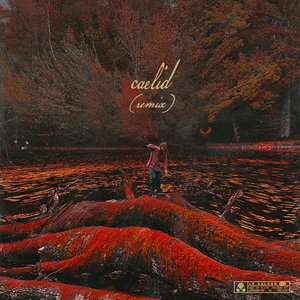 Caelid (Remix)