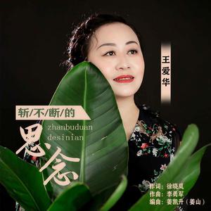 斩不断的相思 (DJ默涵版)