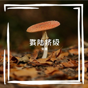 妹诓仪毡