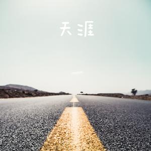 天涯琵琶抖音版