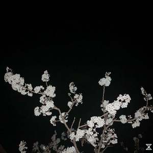 写给你，我或我们（prod.LGX）