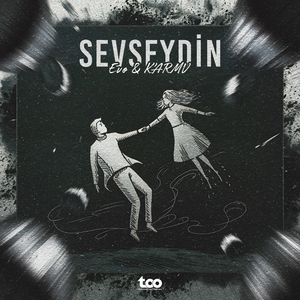 Sevseydin