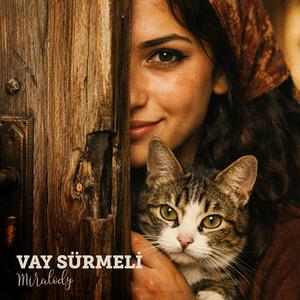 Vay Sürmeli