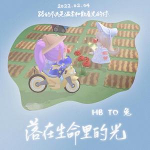 落在生命里的光