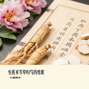 参芪术苓草归芍药性歌