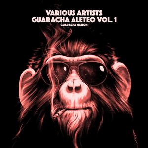 Te Gusta La Guaracha? (Guaracha Mix)