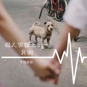 情人节街上的一只狗