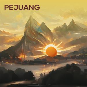 Pejuang
