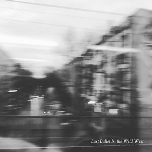 Last Bullet In the Wild West