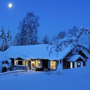 蓝色星球上最后的夜晚