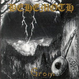 Rising Proudly Towards the Sky