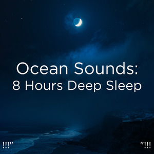 大海之声深睡眠