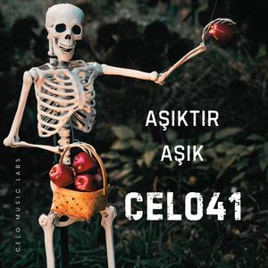 Aşıktır Aşık