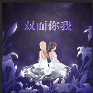 双面你我